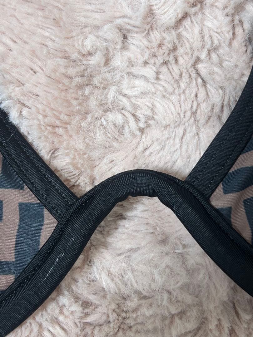 FENDI セパレート水着 Lサイズ