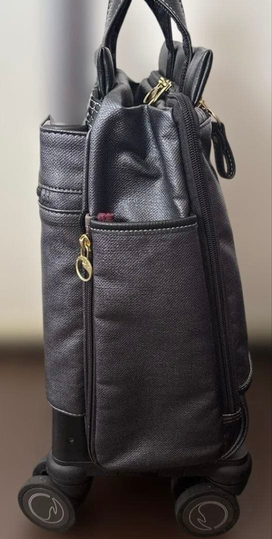 超美品☆エース soelte ソエルテ キャリーケース 12L