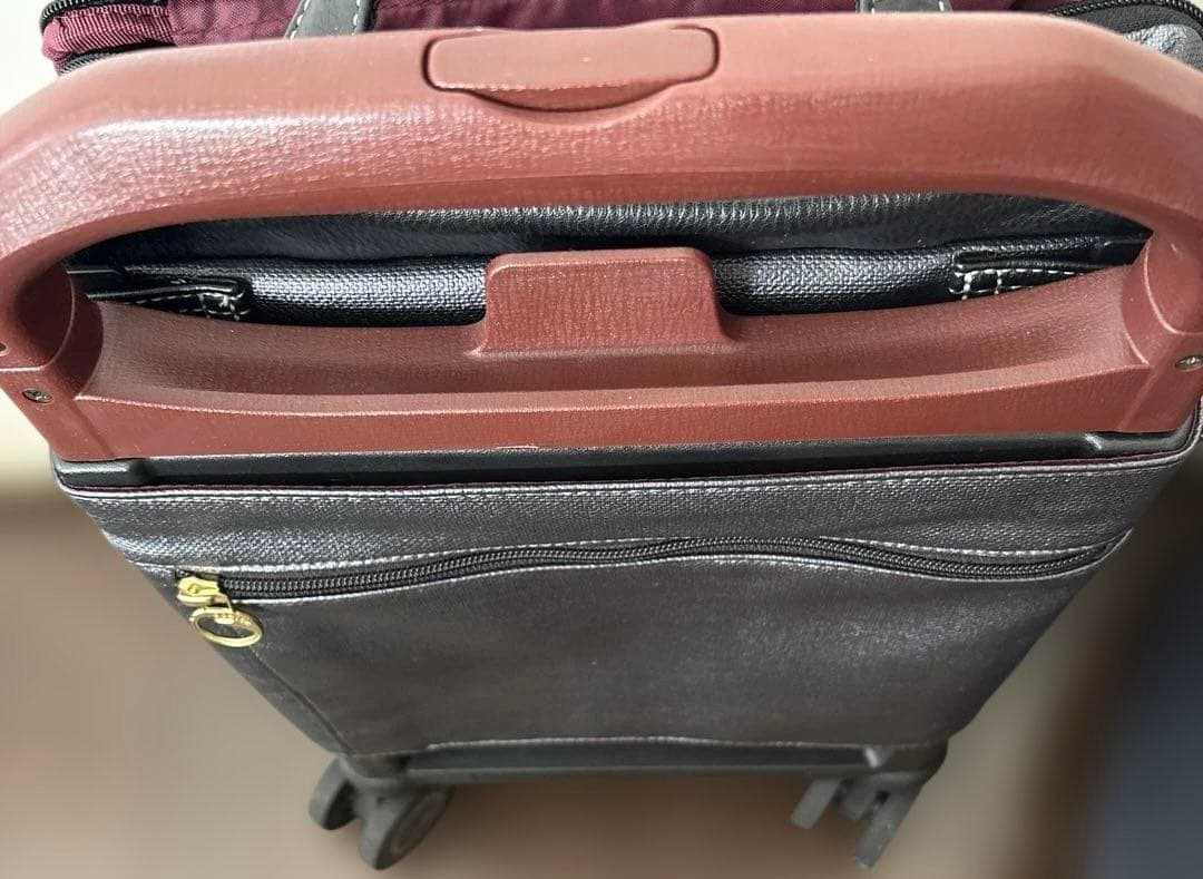 超美品☆エース soelte ソエルテ キャリーケース 12L