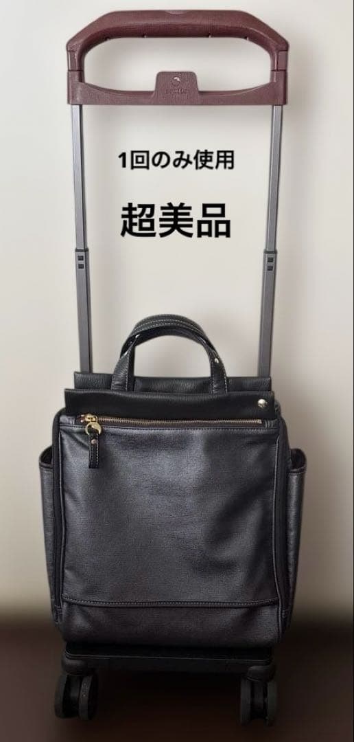 超美品☆エース soelte ソエルテ キャリーケース 12L
