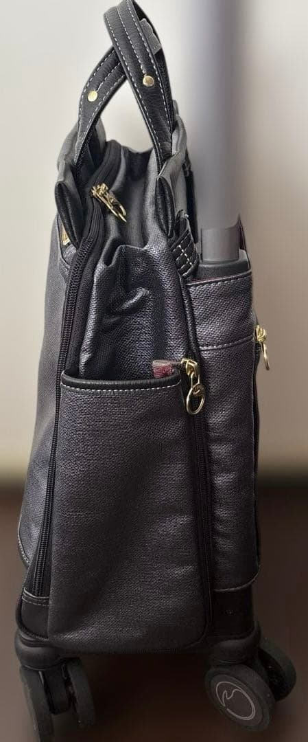 超美品☆エース soelte ソエルテ キャリーケース 12L