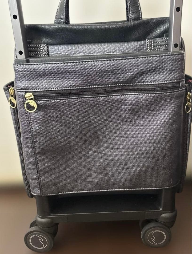 超美品☆エース soelte ソエルテ キャリーケース 12L