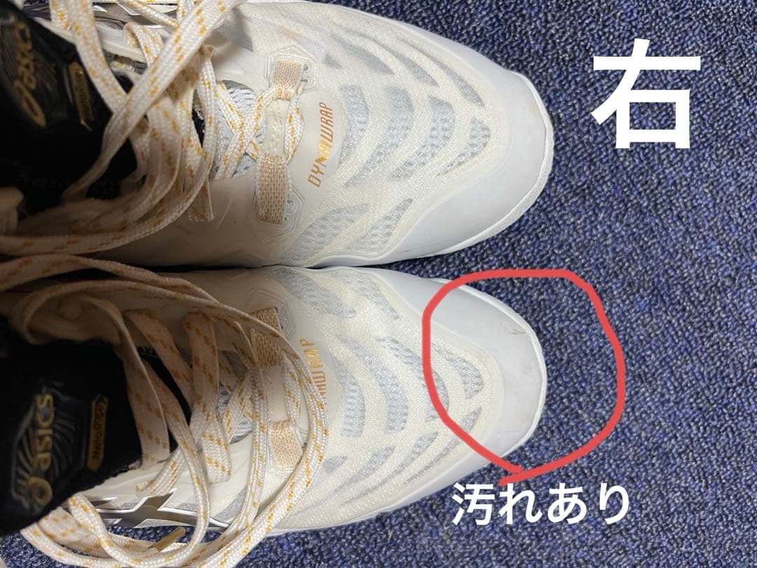 asics rise バレーボールシューズ