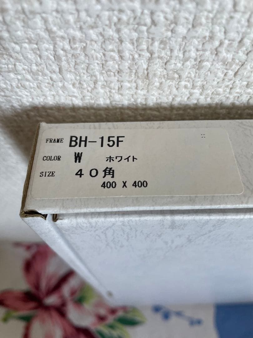 タイラー・ウォーレン Tyler Warren bunny 2015’