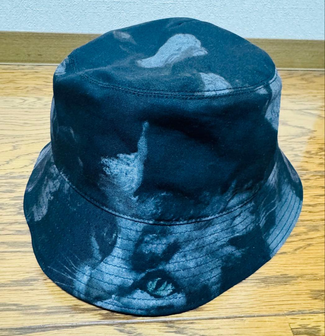 Lad Musician PAINT ROSE + CAT ハット