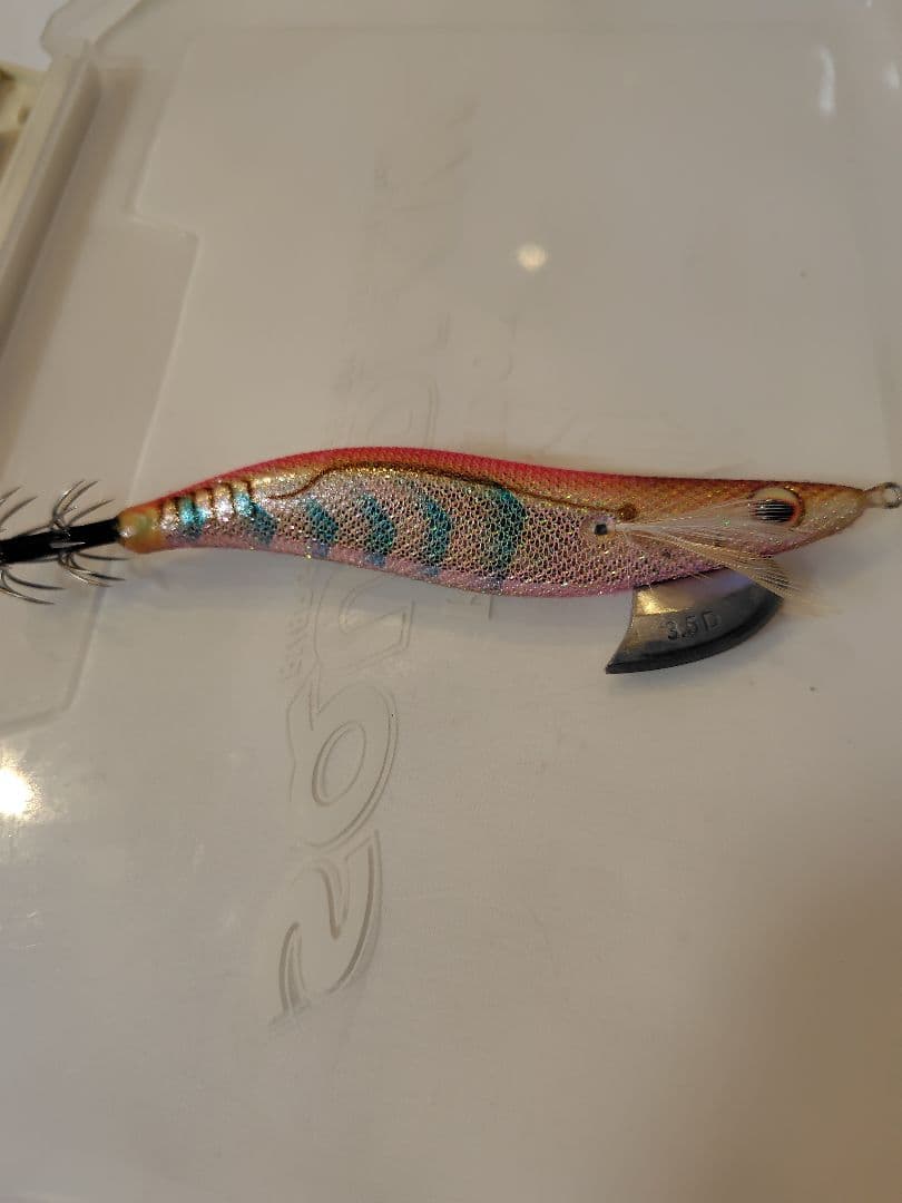 2月 限定価格⚠️‼️値下げ、エバーグリーン　エギ番長　エギング引退セット‼️