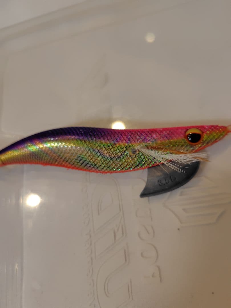 2月 限定価格⚠️‼️値下げ、エバーグリーン　エギ番長　エギング引退セット‼️