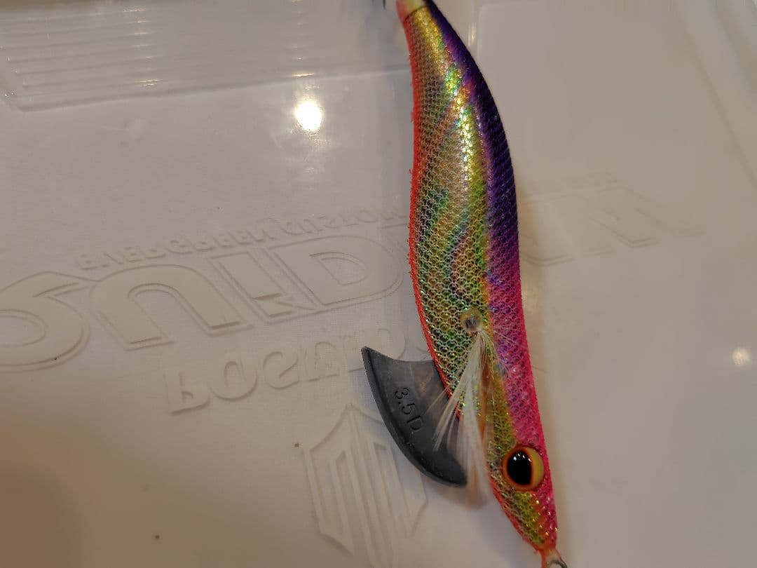 2月 限定価格⚠️‼️値下げ、エバーグリーン　エギ番長　エギング引退セット‼️