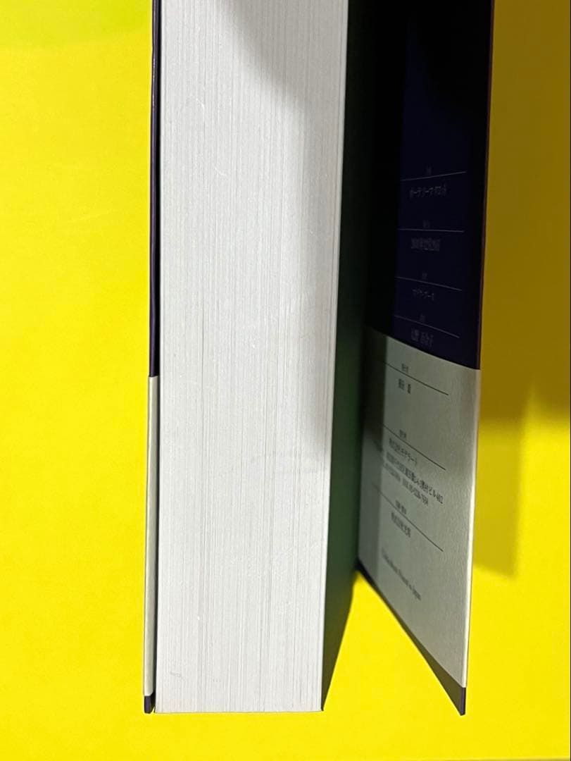 ★絶版★未使用　オーラソーマタロット　解説本　マイクブース 著　大野百合子 訳