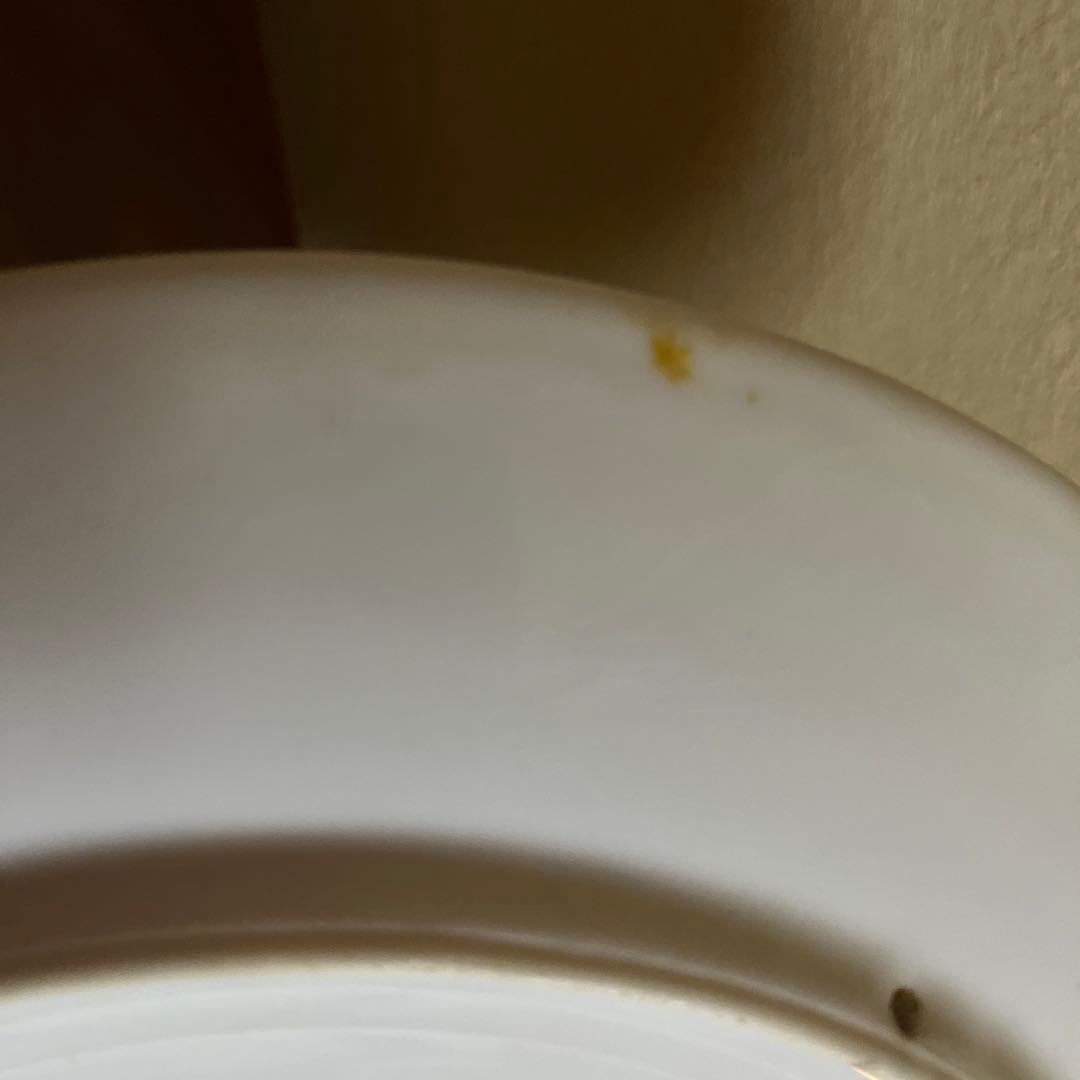 オールドノリタケ　飾り皿 金盛り　風景　メープルリーフ印　里帰り　骨董　明治