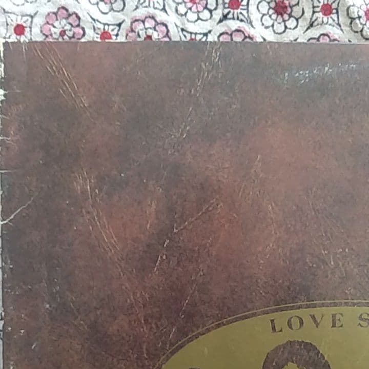 ザ・ビートルズ　　　　　　　　　ラブ　ソングス