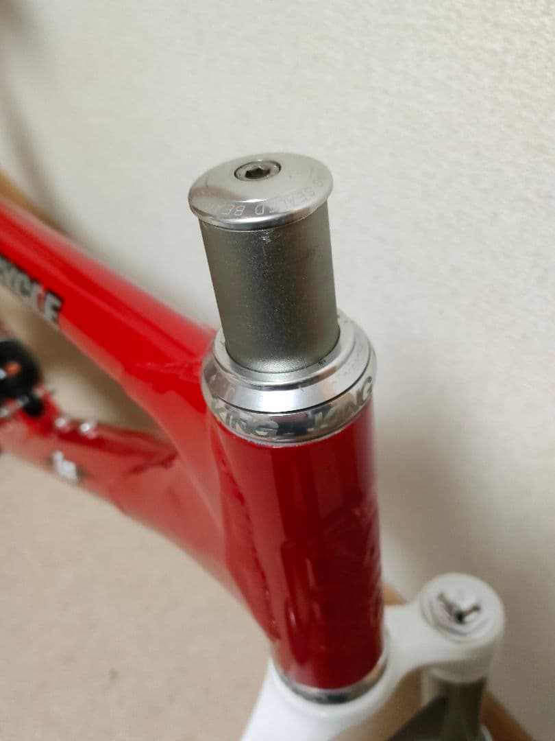 レア物 MOUNTAIN CYCLE Zen ROCKSHOX SID付フレーム