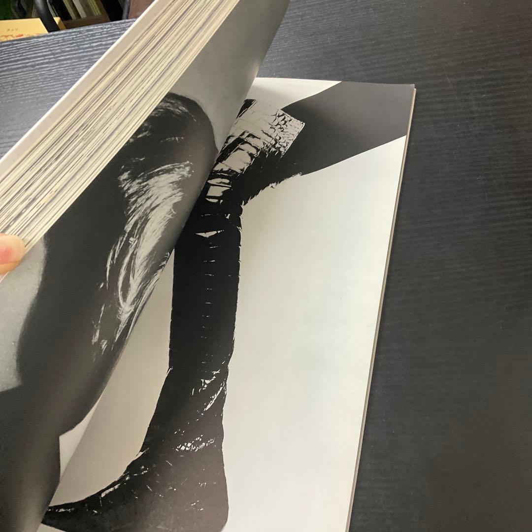 PARCO VIEW15 アルール　ダイアナ・ヴリーランド　PARCO出版