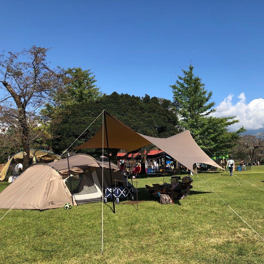 【kyohe_iさん専用】ギリア サバティカル