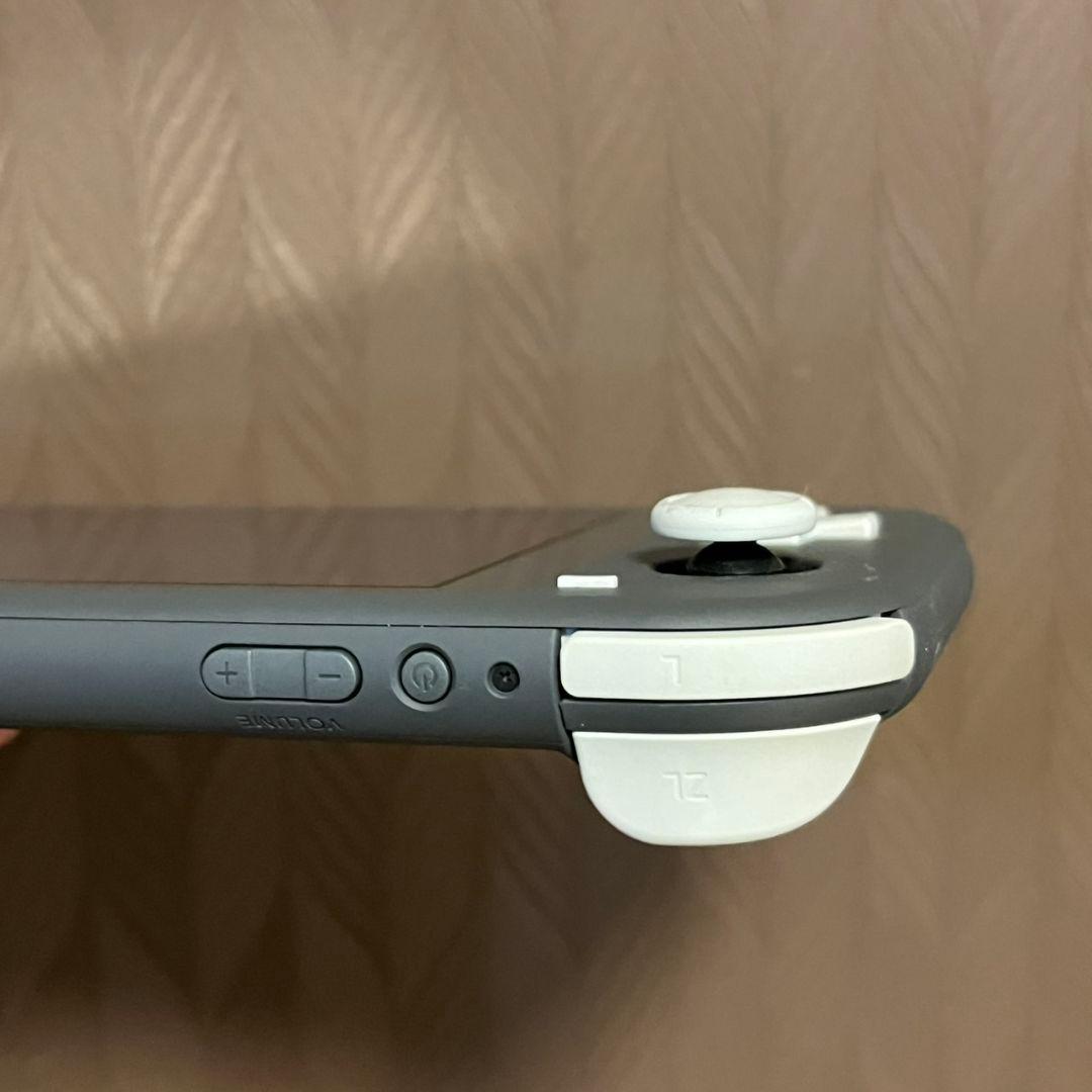 Nintendo Switch Lite グレー ケース付