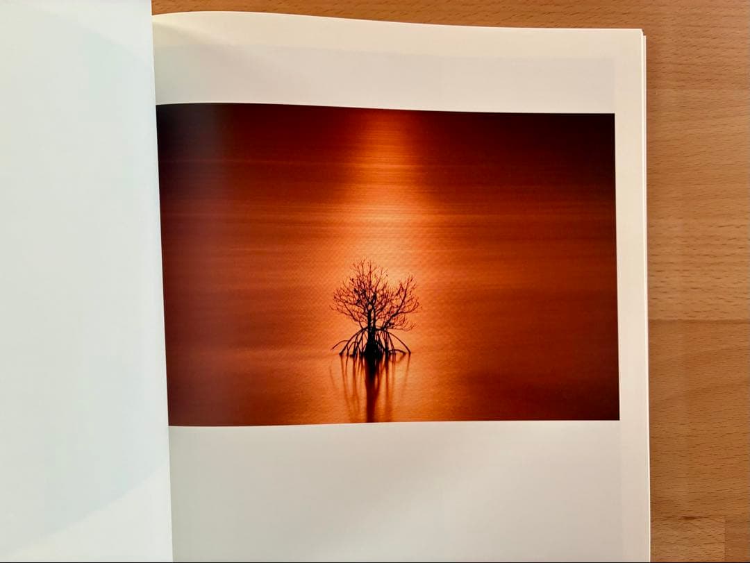 米津光　伊藤之一　写真集　２冊セット