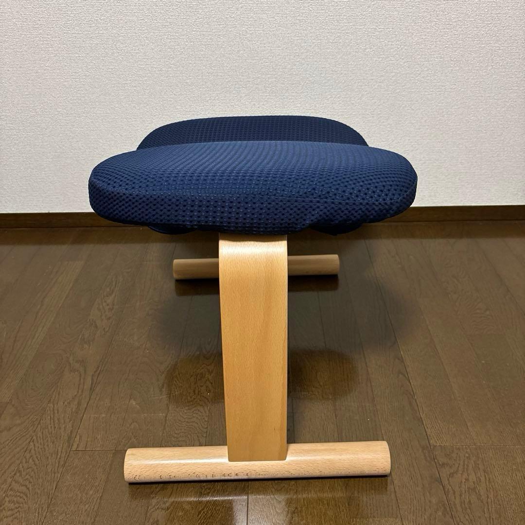 【美品】balans Easy バランスイージー ショートフレーム オプション付