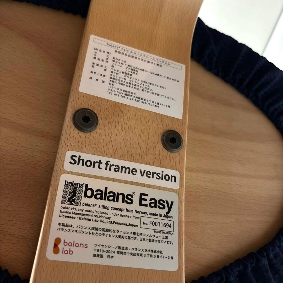 【美品】balans Easy バランスイージー ショートフレーム オプション付