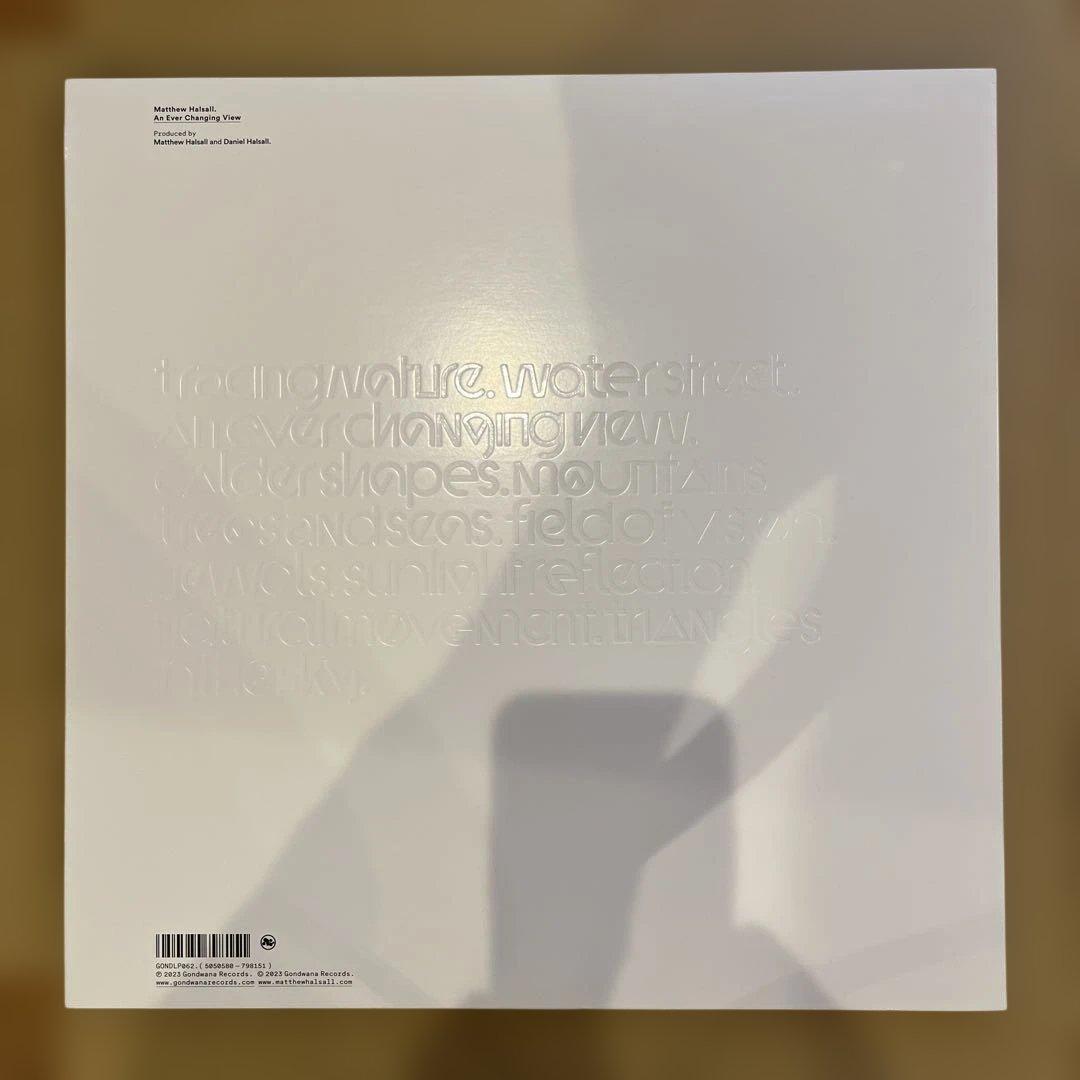 洋楽 Matthew Halsall An Ever Changing View