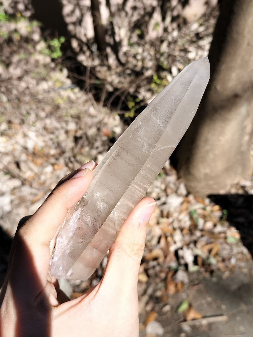 【早いもの勝ち超特価】オールドレムリアン　ピュアレイ