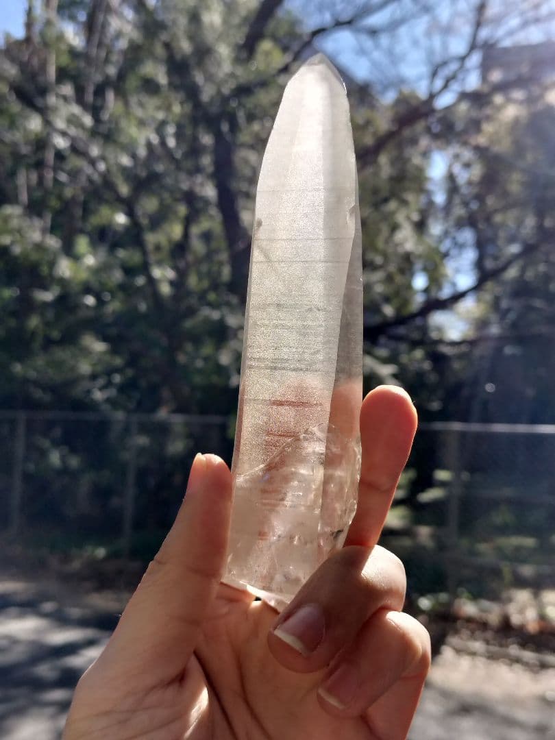 【早いもの勝ち超特価】オールドレムリアン　ピュアレイ