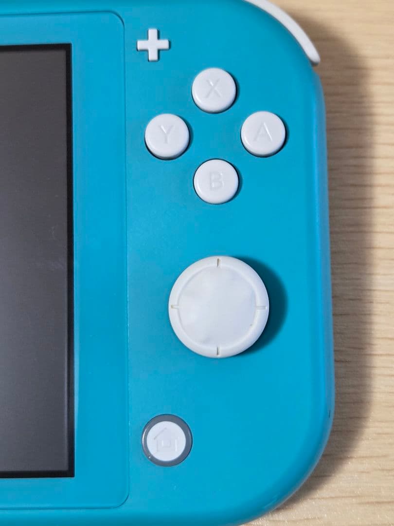 ​Switch Lite 本体 ターコイズ スティックボコボコ ケース付き