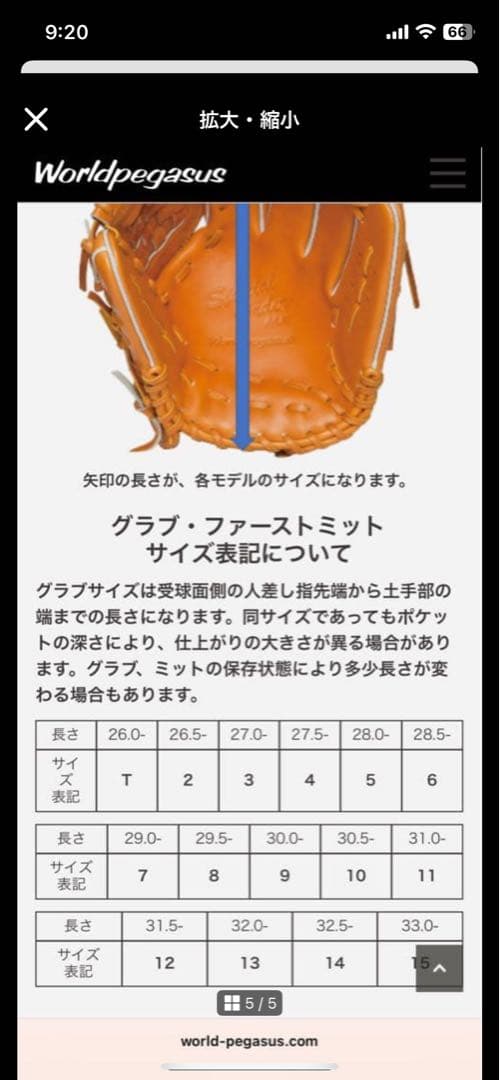 軟式野球グローブ ワールドペガサス　新品　未使用