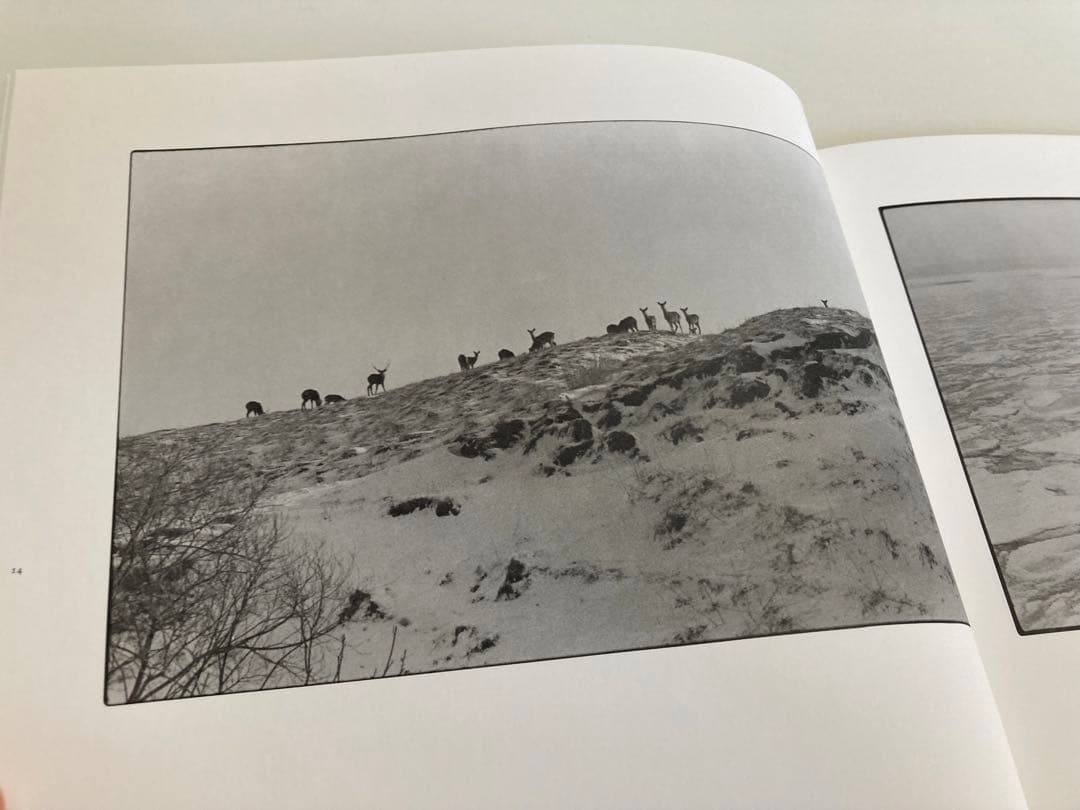 【初版】白石ちえこ / 鹿渡り 蒼穹舎