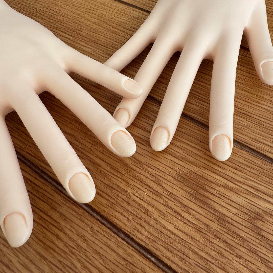 【お値下げ】ネイリスト技能検定試験用JNEC認定モデルハンドとチップなど一式