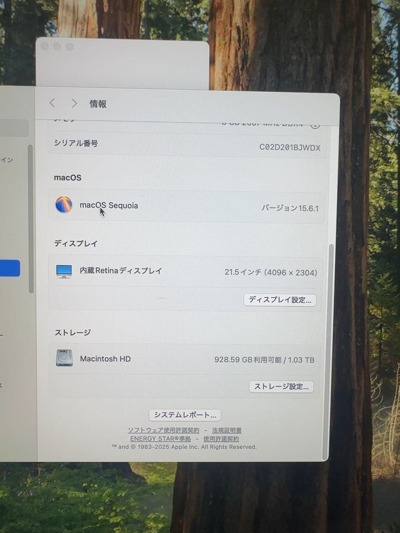 【まりりん】Apple iMac Retina 4K MRT42J/A