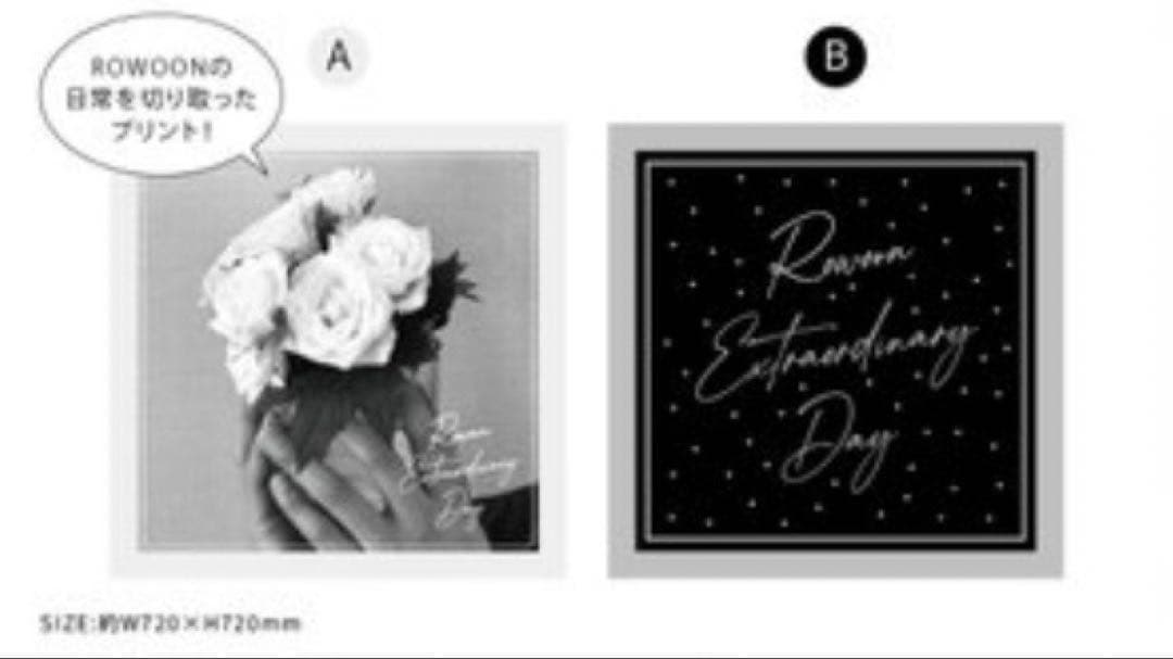 ロウン ファンミ Extraordinary Day 大判スカーフ２種セット