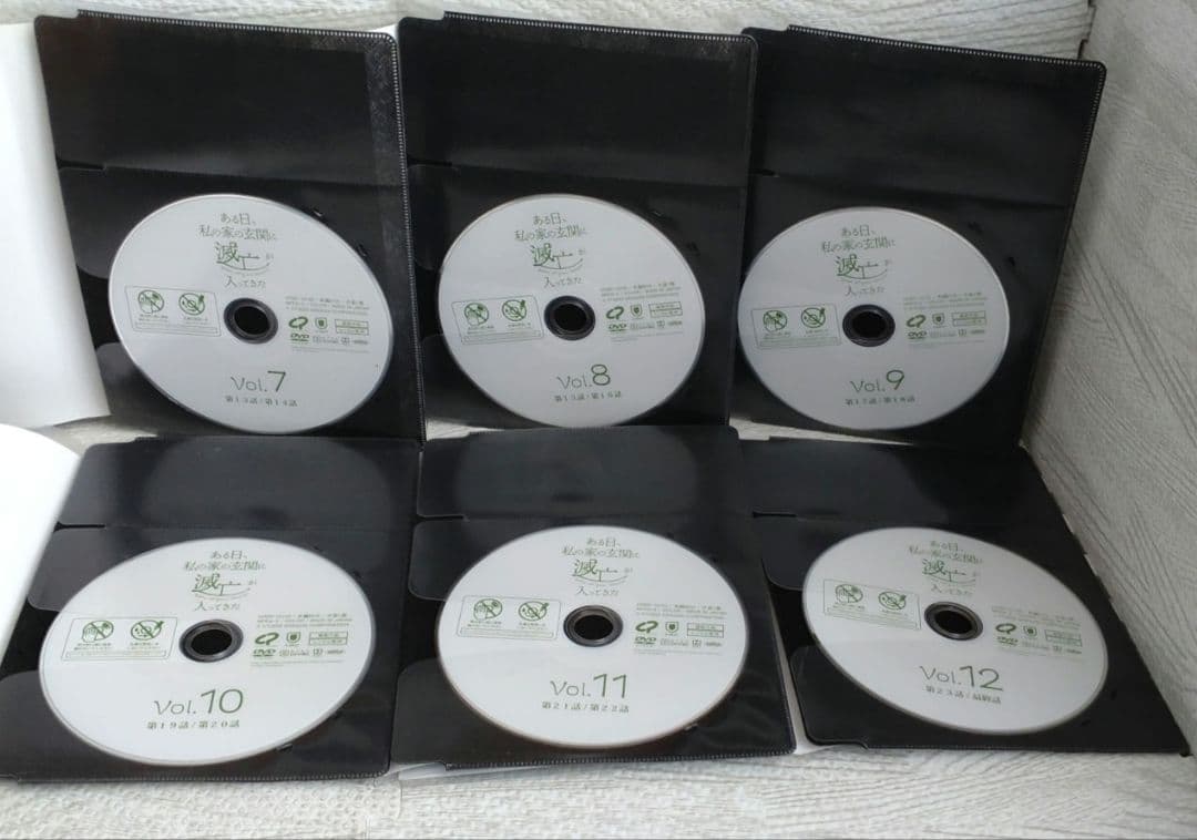ある日、私の家の玄関に滅亡が入ってきた 全12巻 DVD 韓国ドラマ ソイングク