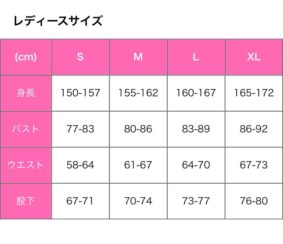 estivo ゴールドウィン　スノーボードウェアセット 一度使用