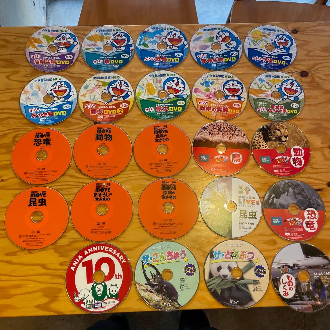 ドラえもん・昆虫・動物 DVDセット