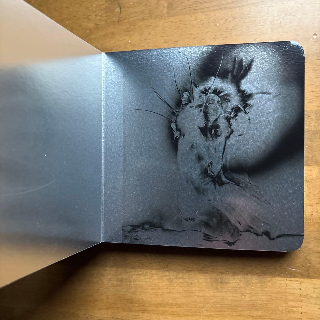 アンクル　UNKLE 豪華限定盤 限定2000枚