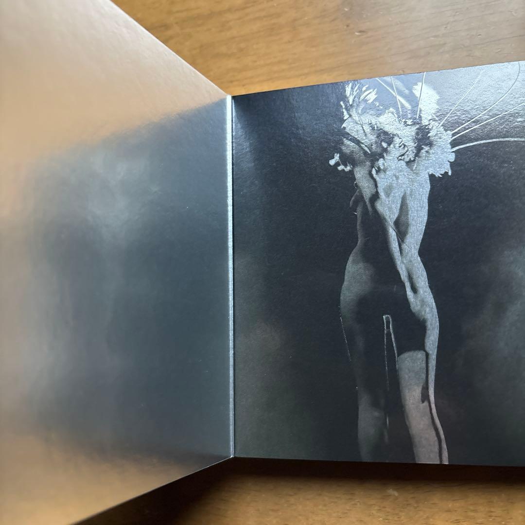 アンクル　UNKLE 豪華限定盤 限定2000枚