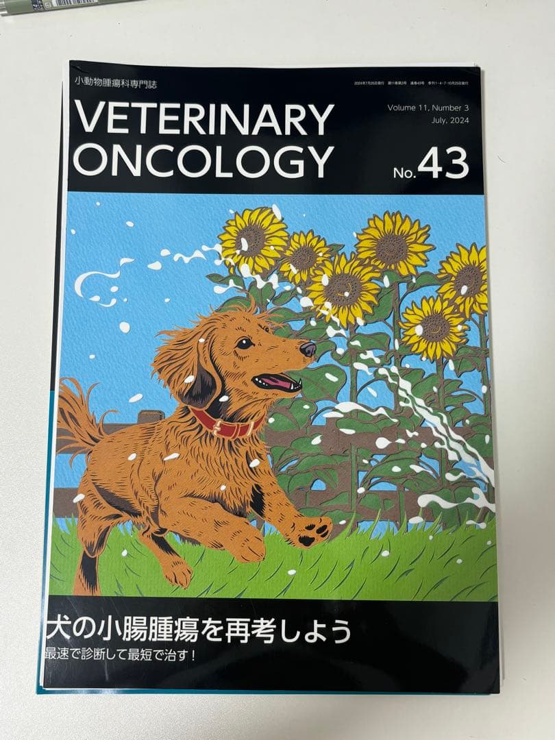 【裁断済み】VETERINARY ONCOLOGY No.43 44 46 47
