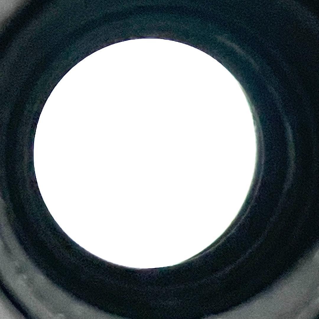 遠くの被写体もくっきり❣️ EF-S 55-250mm IS II 超美品✨