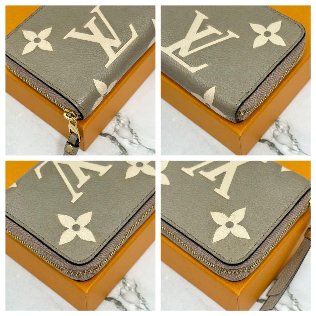 ◆◆あいぼんさん専用◆◆LOUIS VUITTON ルイヴィトン アンプラント