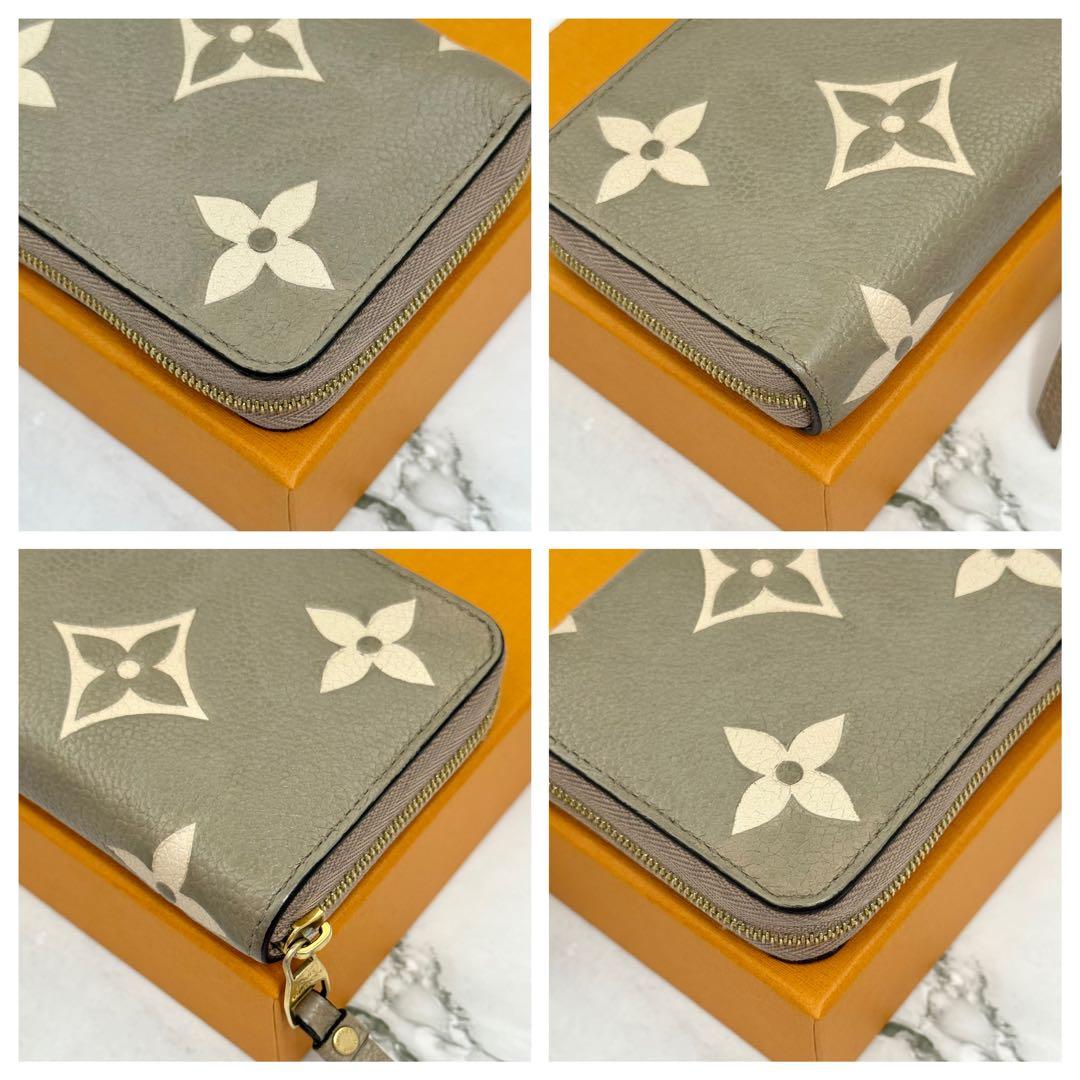 ◆◆あいぼんさん専用◆◆LOUIS VUITTON ルイヴィトン アンプラント