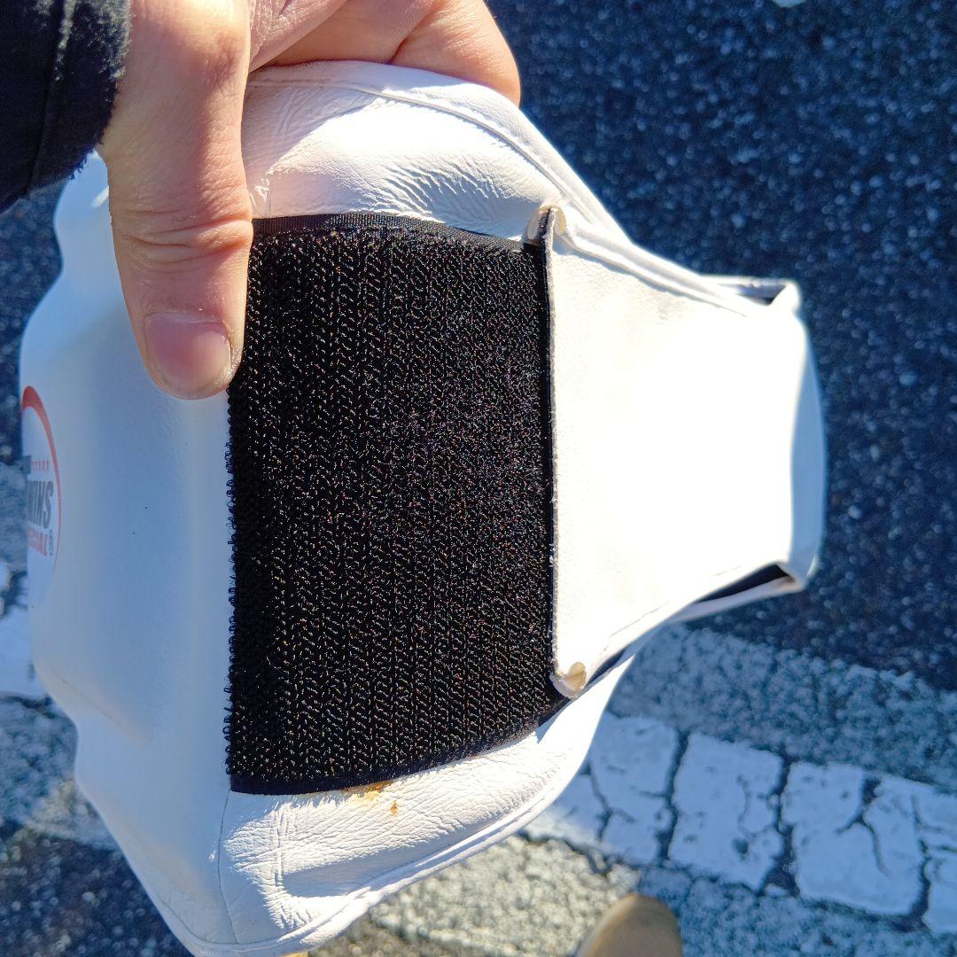 TWINS SPECIAL ボディー　ミット