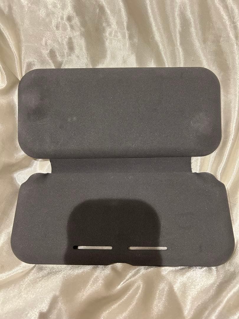 Nintendo Switch Lite 本体 ケース付き