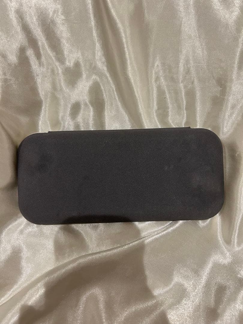 Nintendo Switch Lite 本体 ケース付き