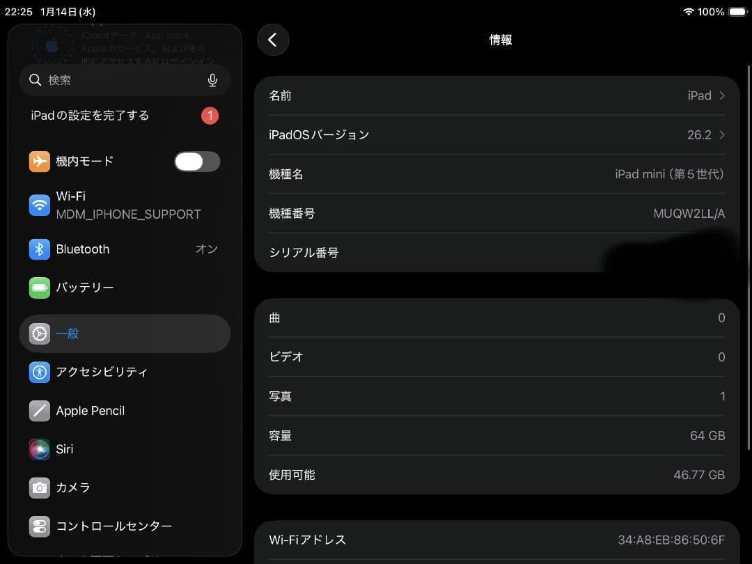 iPad mini (第5世代) 64GB