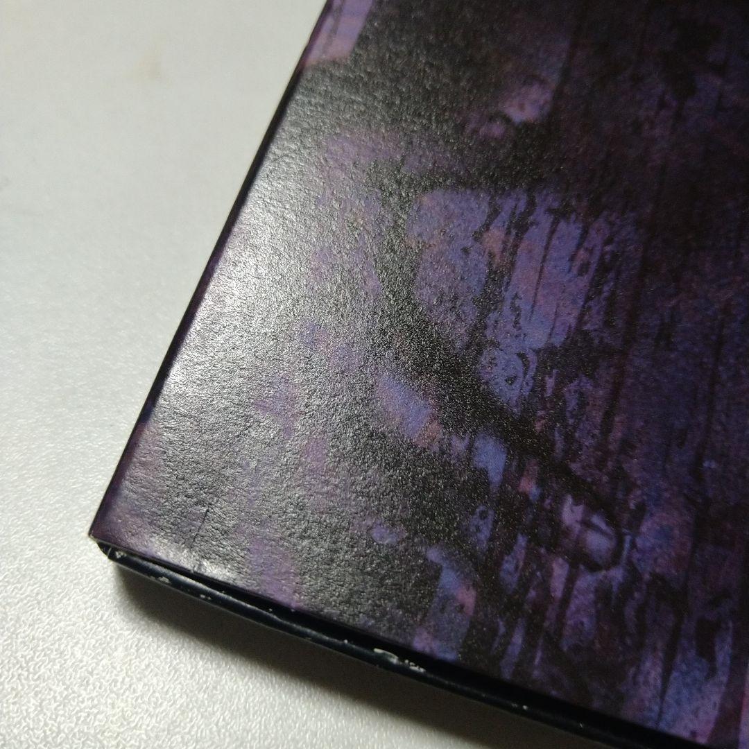 the GazettE ガゼット 斑蠡〜MADARA〜 初回限定盤