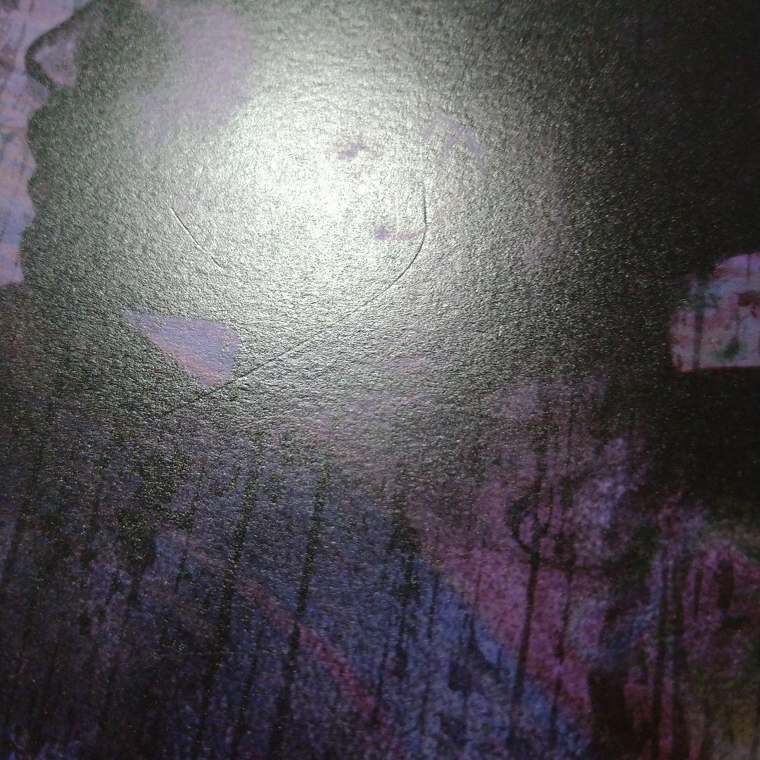 the GazettE ガゼット 斑蠡〜MADARA〜 初回限定盤