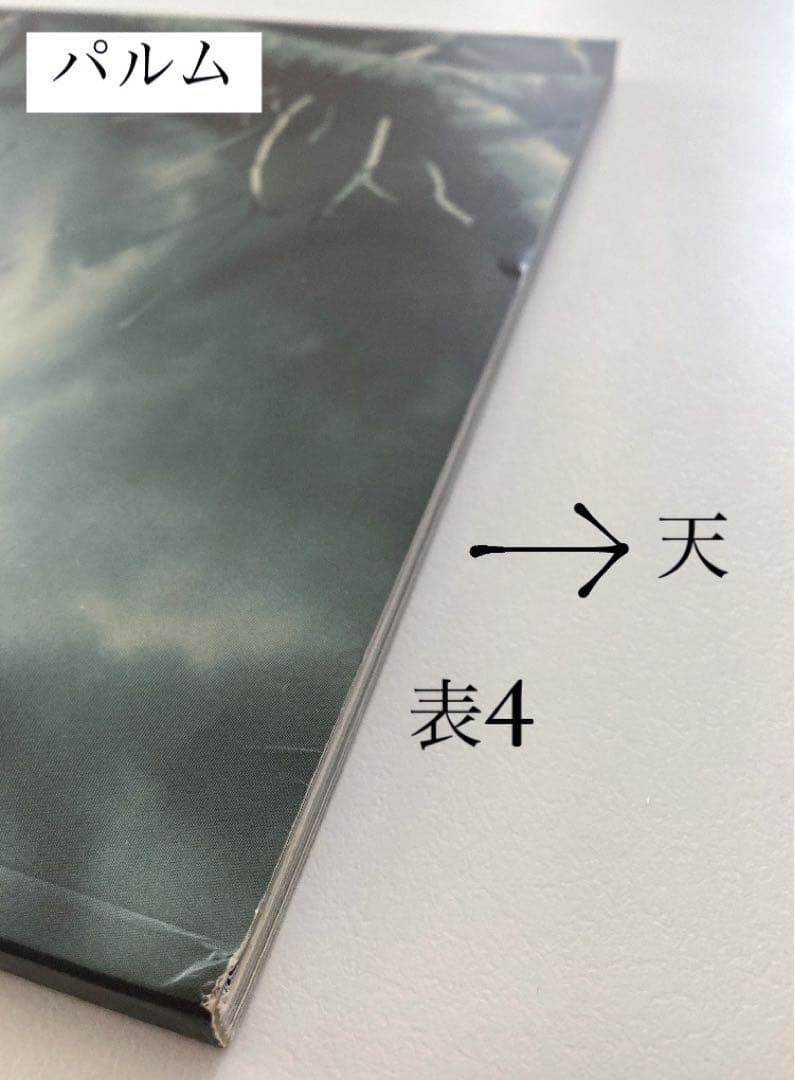 VERSACE 1999 / 2000 ヴェルサーチ　カタログ　写真集