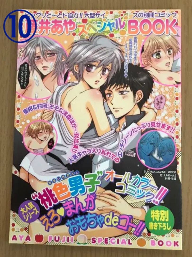 ボーイズラブ コミック雑誌特典 ペーパー小冊子