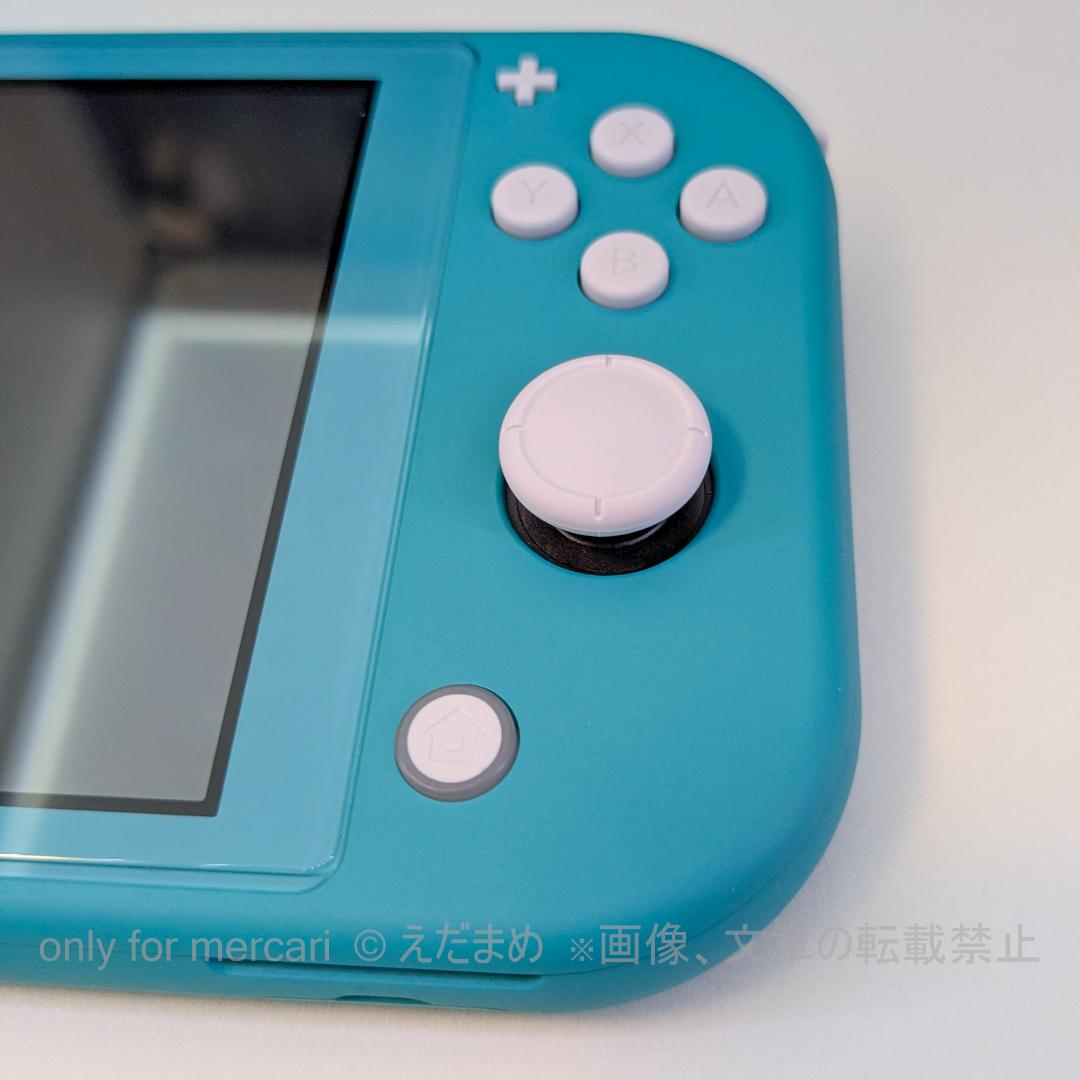 Nintendo Switch Lite ターコイズ 本体、ポーチ、ケース２種