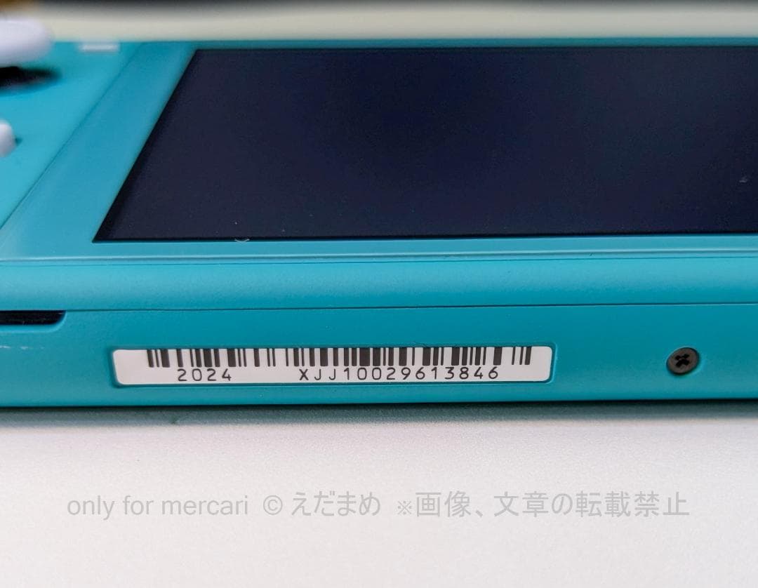 Nintendo Switch Lite ターコイズ 本体、ポーチ、ケース２種